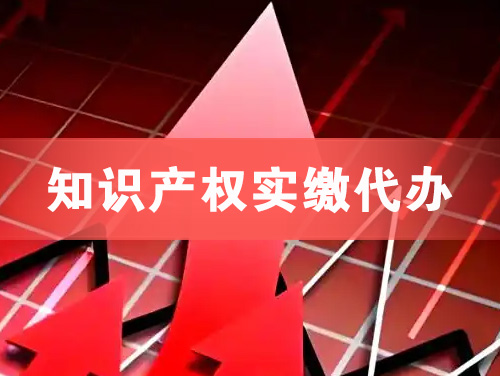 盘州知识产权实缴资本代办